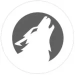 Flughafenzubringer-Wolf-Pforzheim