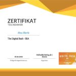 die eberin Google Zertifikate certificate_sea